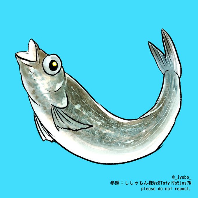 ししゃもんのtwitterイラスト検索結果 ししゃもんのtwitterイラスト検索結果