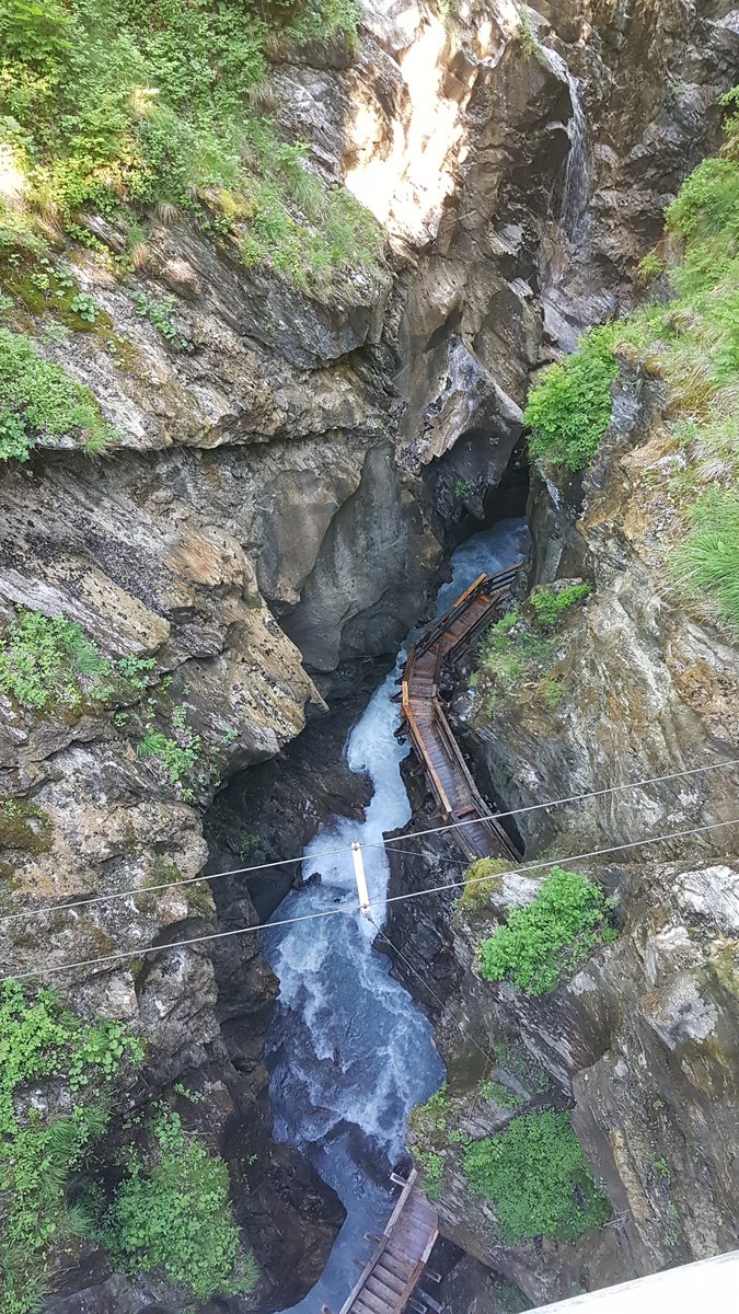 mariechr77's tweet photo. #den3
Dneska byl přísný výlet.
Vyšli jsme z 750 m.n.m a vylezli až do 2200 m.n.m. Celkem jsme ušli 19 km.
Několik prvních hodin to bylo jen do kopce. Bylo nádherně. A taky vedro a všichni máme spálený ruce a nohy. Já jsem pro jistotu, jak dalmatin 😄😎 https://t.co/o02IYZm0Qu