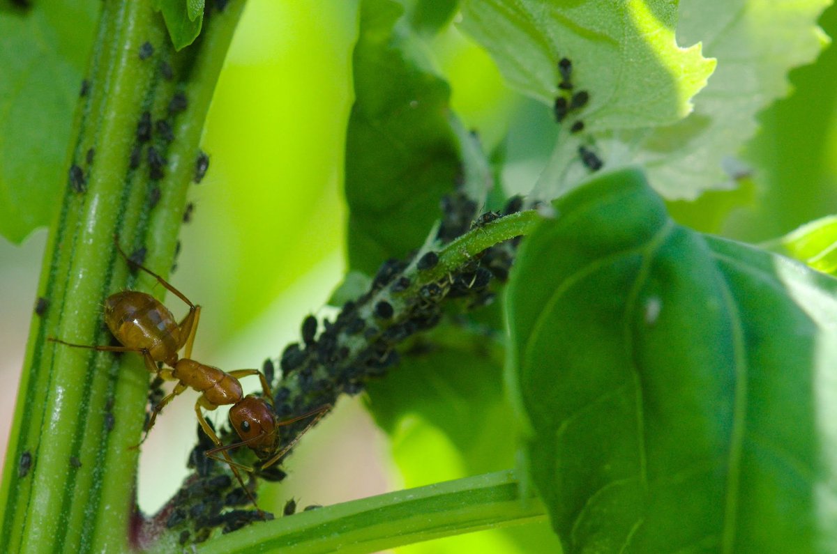Roger Schürch tweet media