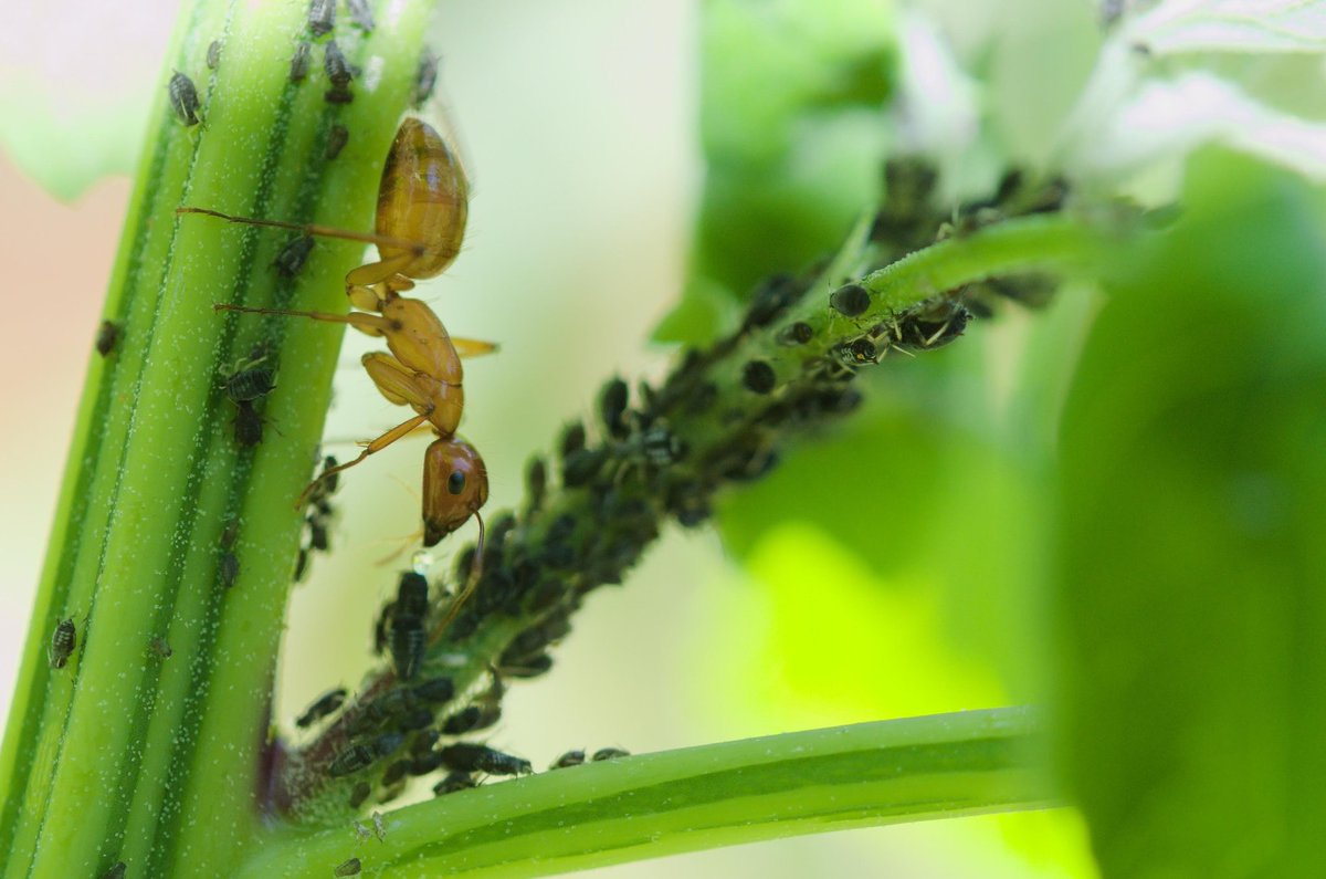 Roger Schürch tweet media