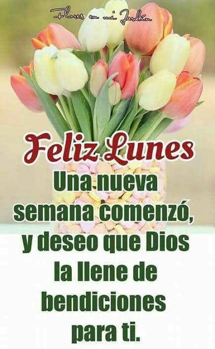 Buenos días amigos y feliz semana ☀️🙏🏼☕☕☕☕