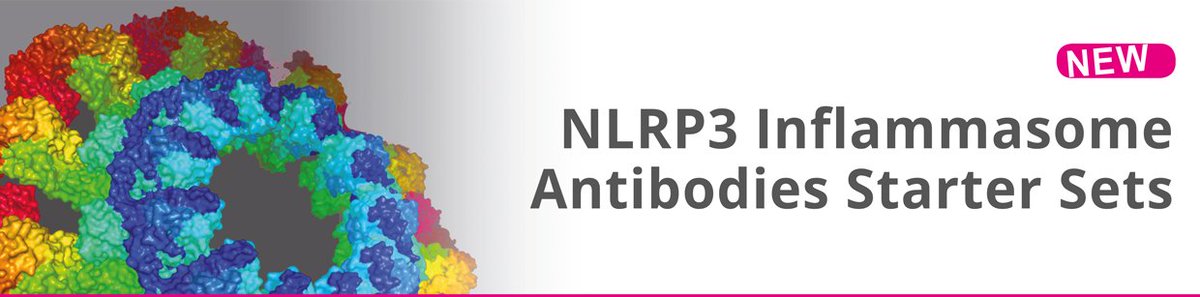 AdipoGen now offers convenient economic Starter Sets for #NLRP3 #inflammasome research.  Available for human and mouse studies, these sets contain KO extract validated antibodies for WB application against the key components of the NLRP3 inflammasome.  bit.ly/2SBv9ix