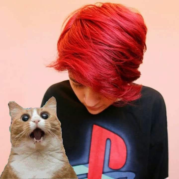 xpink_emo_bearx's tweet photo. I was cute In highschool lol 😂  #emo #emogirl #scenegirl #anime #cat #catgirl #emohair #scenehair https://t.co/kHYNReY4oT