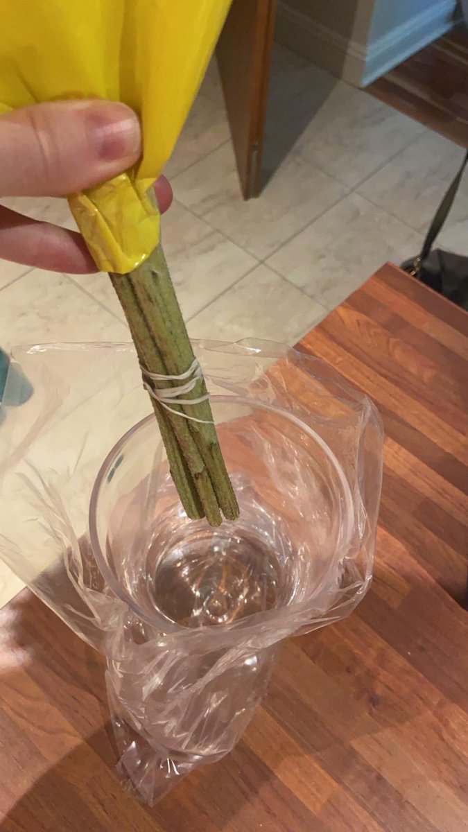 Áine Behan tweet media