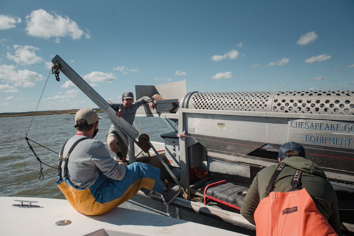 Proud to see our customers &amp; equipment featured in <a href="/nytimes/">The New York Times</a> article: nytimes.com/2021/06/12/nyr… #oysterfarming #growoysters #aquaculture