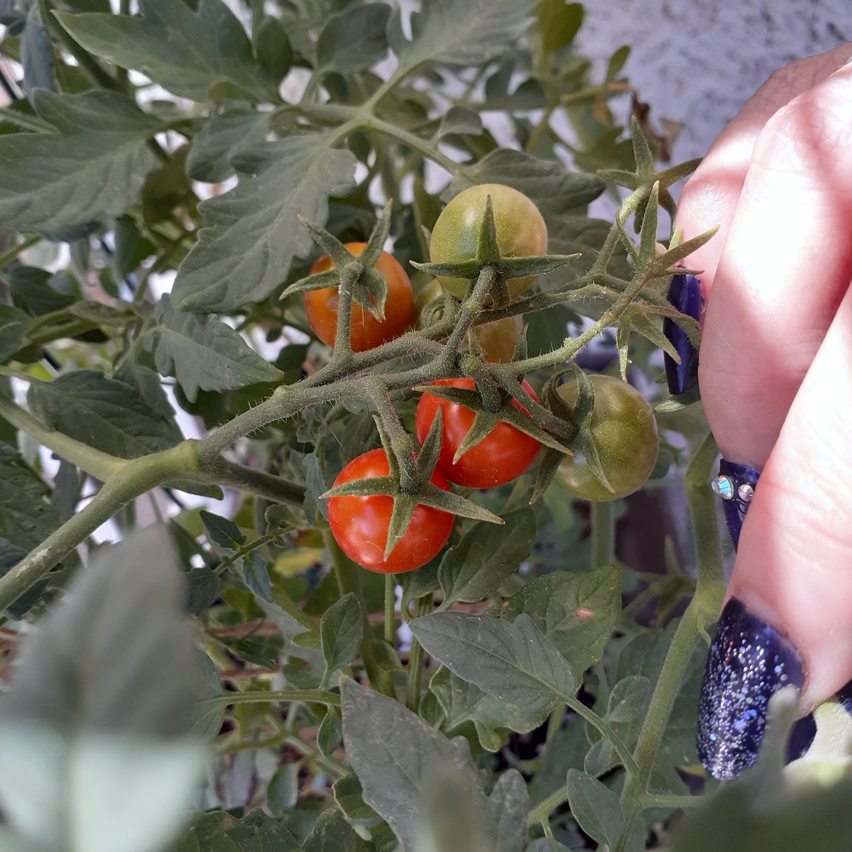 ITSaMe_Alex tweet media