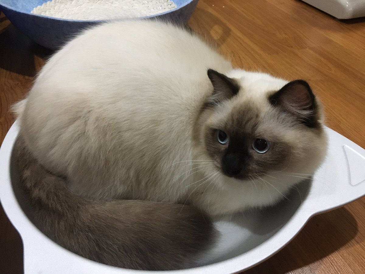 หนมปังอบไหม้ไปหน่อย🍞