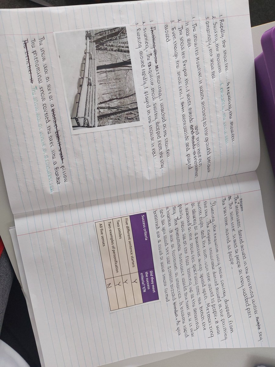 Ms Steed tweet media