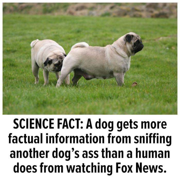 ForumAtheist's tweet photo. FACT!!!!!👇👇🤣🤣🤣 https://t.co/sSVGd8pYBS
