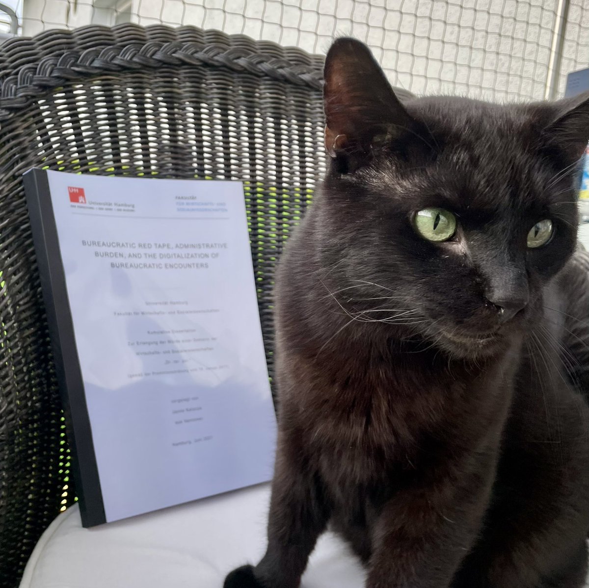 My cat proudly presents: my finished dissertation!