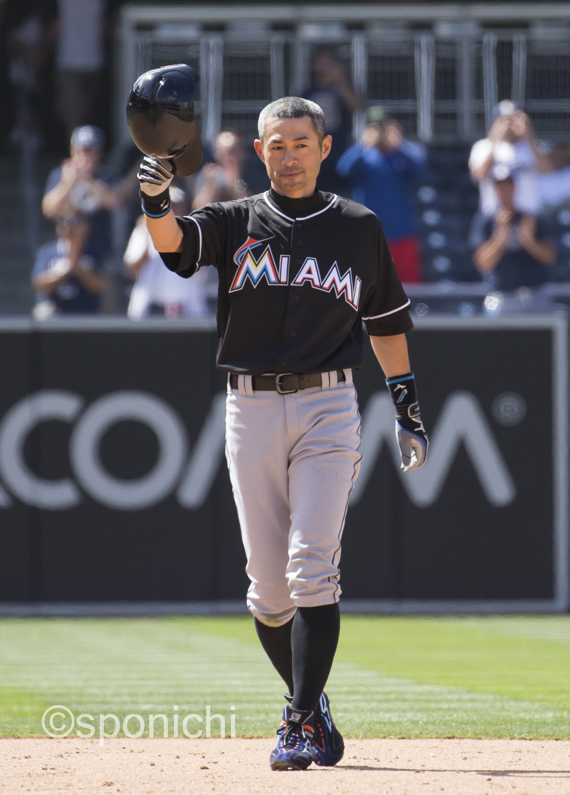 芸能人愛用 インスク 4256 サイン 直筆 ピート ローズ Cs特許 Mlb最多安打王 入り シードスターズ真正証明書付き ローズ公式ホログラム バット メジャーリーグ Ceim Cl