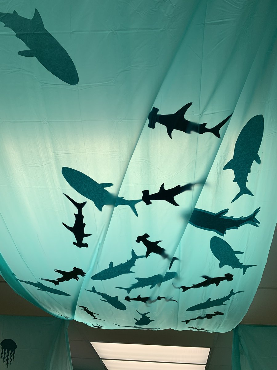 TrentonPubLib's tweet photo. TFPL's Tails &amp; Tales Summer Reading 2021 has officially begun! Stop by the library  for information &amp; materials for our adult, teen &amp;  kids programs! #readyforsummerreading #TailsAndTales #TrentonKidsRead https://t.co/Ag6B5NoyTH