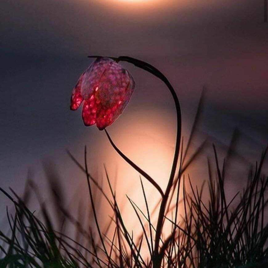 الدرس الذي تعلمته من  المواقف هو : 
لا تصارح الآخرين بعيوبهم إلى أن يكتشفوها هم بأنفسهم.

🌿🌿✍️🌹