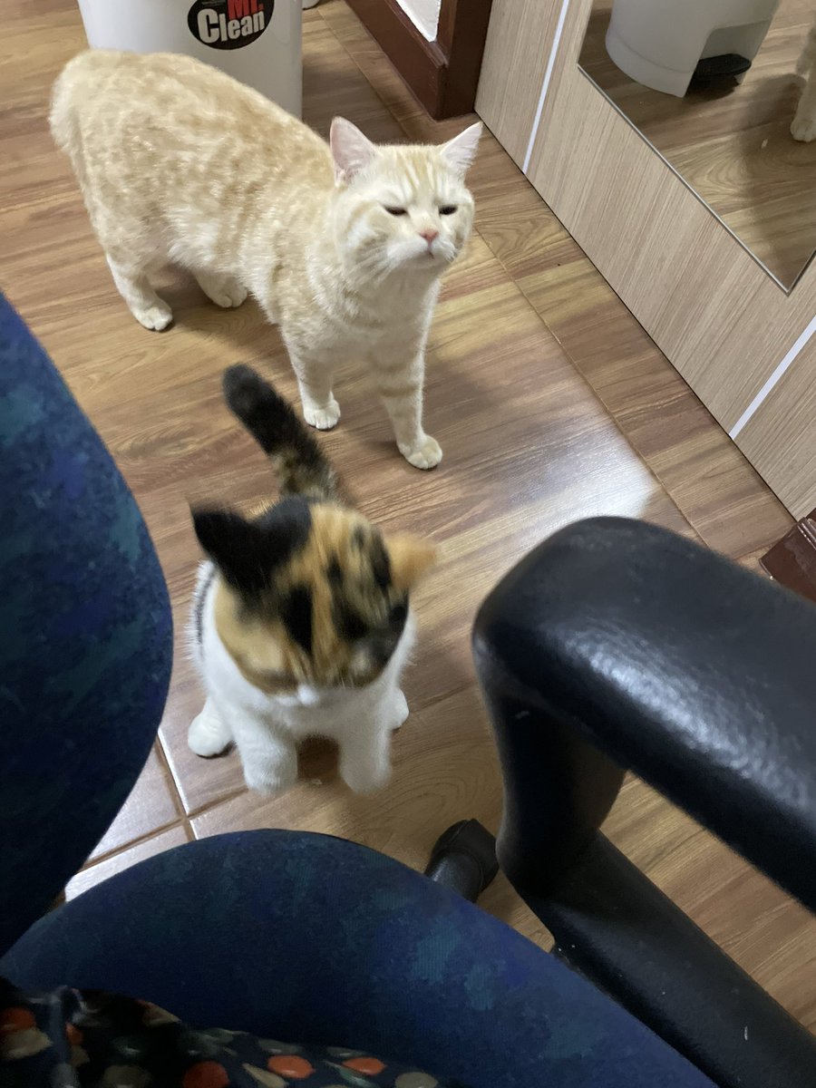 แม่แม่ไอ้บีมไม่แปรงฟัน หนูมาฟ้องแค่นี้แหละไปละเดี๋ยวมันหยิก