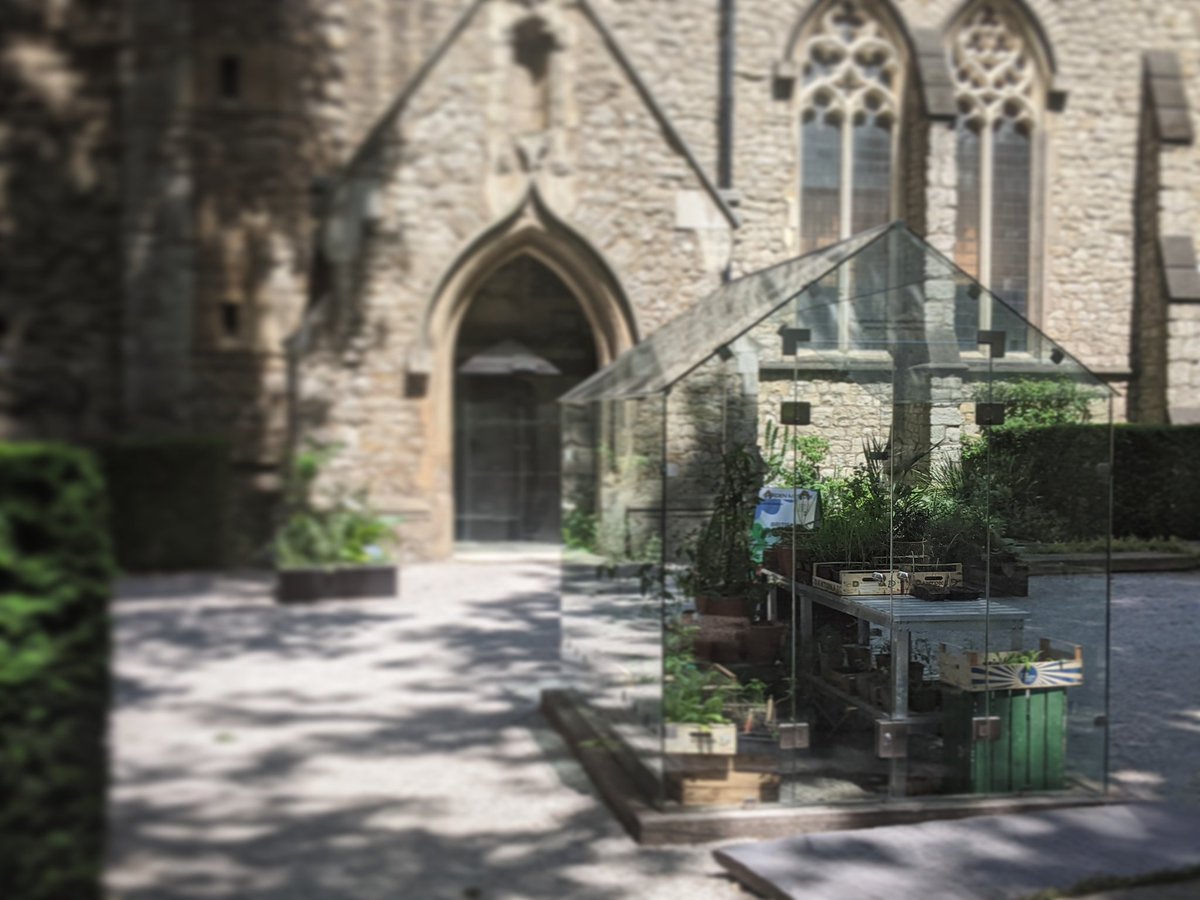 RabbitGuides's tweet image. Greenhouse love 💕
#gardenlife #botany #London