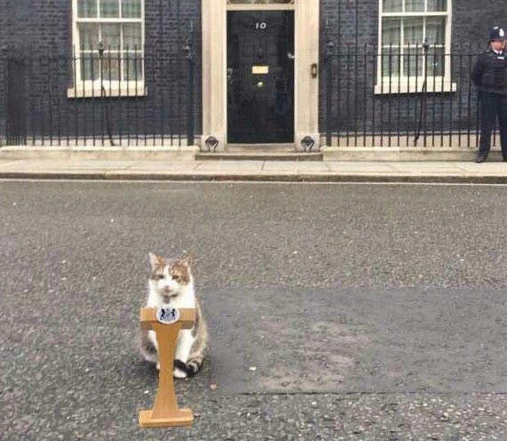 RT @Number10cat: “He’s had enough chances; I’m taking over.” #lockdownextension https://t.co/RmvAmOrSon