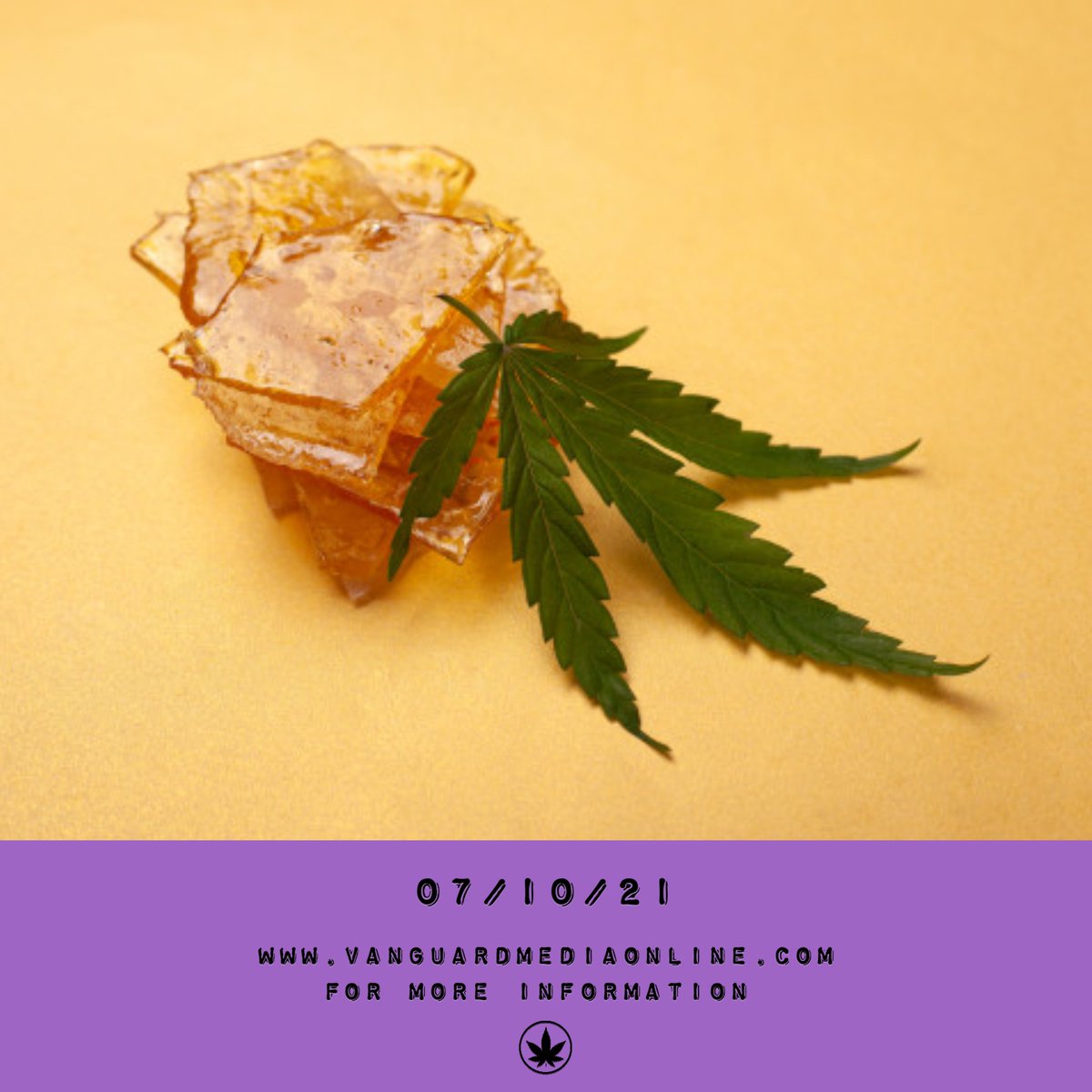 Vanguard Media (@_vanguard_media) on Twitter photo We wanted to prepare you before 7/10, #DabDay if you're new to #shatter. 🍯 Shatter is a #cannabis extract that looks like #glass and is highly concentrated, compact form of THC/CBD. Dab with us 07/10/21! ➡️ Tix Here: bit.ly/2T3DGdS or at <a href="/eventhi_io/">eventhi.io</a> #cannabiscommunity We wanted to prepare you before 7/10, #DabDay if you're new to #shatter. 🍯 Shatter is a #cannabis extract that looks like #glass and is highly concentrated, compact form of THC/CBD. Dab with us 07/10/21! ➡️ Tix Here: bit.ly/2T3DGdS or at <a href="/eventhi_io/">eventhi.io</a> #cannabiscommunity