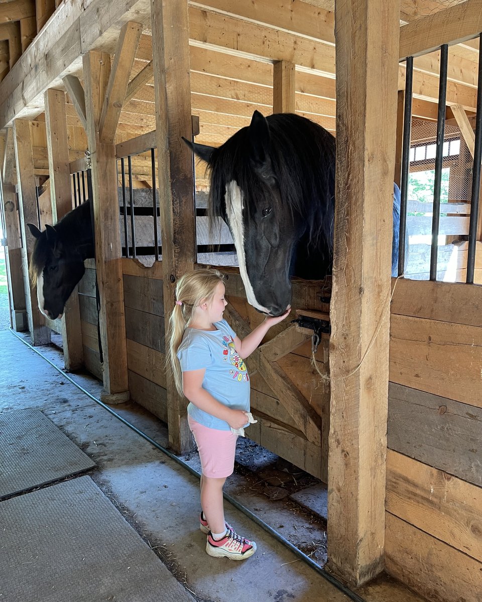 I was cleaning the stables this weekend at June Farms while we were closing up, and this little girl runs into the barn.  She comes right up to me and politely asks, "Hi. Do you work here?" 

I said, "Yes, I do.  How can I help you?"  

(a thread)