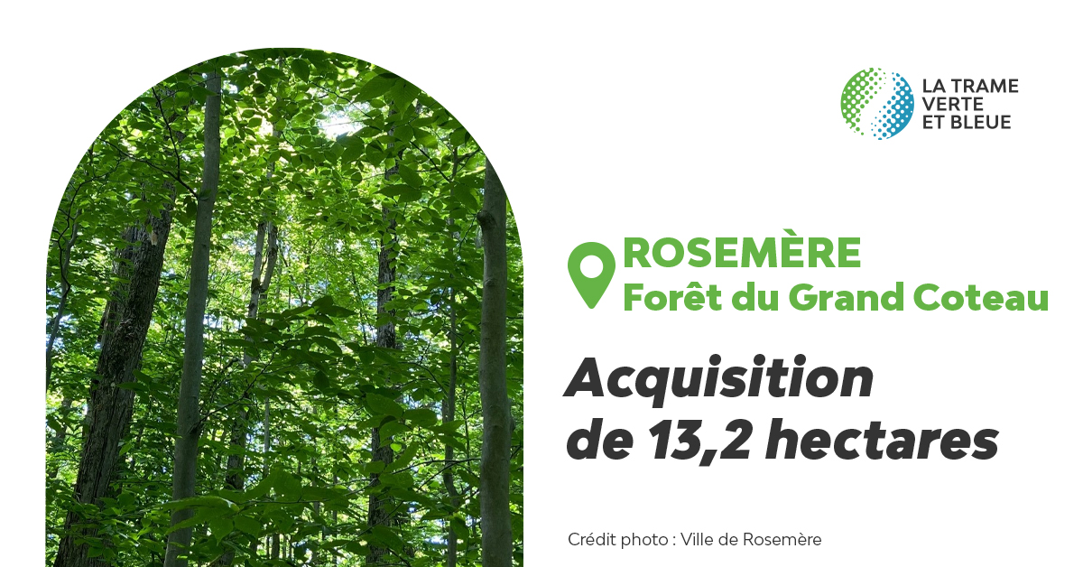 TRAME VERTE ET BLEUE | Bonne nouvelle! La Ville de Rosemère acquiert 13,2 hectares pour protéger la Forêt du Grand Coteau grâce à un soutien financier de la CMM et du <a href="/GouvQc/">Gouvernement du Québec</a>.

Tous les détails: cmm.qc.ca/communiques/ro….

#polmun #TVB_CMM