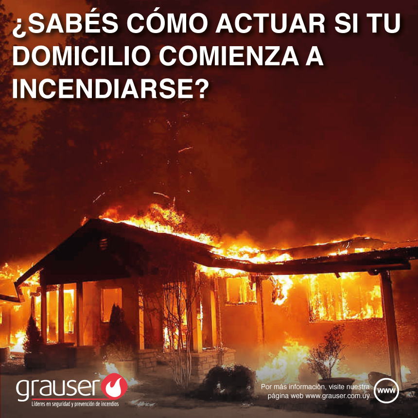 Grauser1 tweet picture