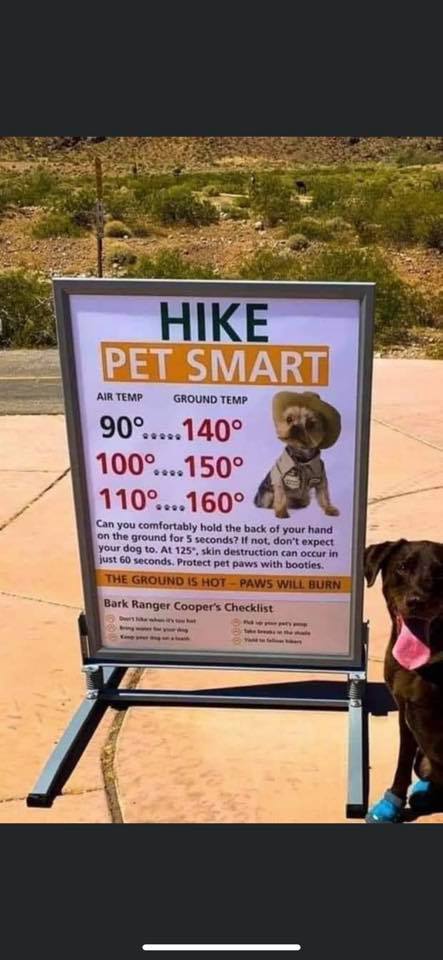 Angeles_NF's tweet image. Please remember our four-legged hiking buddies on these blistering hot days.  Like us, pets need to stay well hydrated.  Practice #HeatSafety for both yourself AND your fur friends.  ready.gov/heat  🌡️🐶