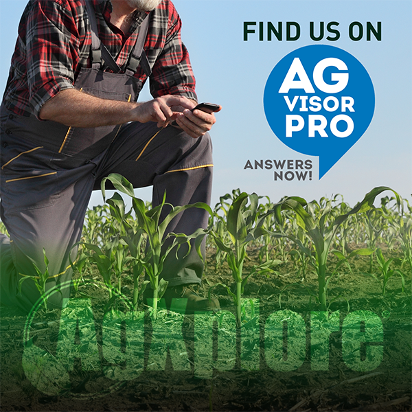 agxploreca's tweet photo. Did you know @AgXplore is a proud Tech Direct Partner with #AgVisorPro? Download the @AgVisorPro app today to connect with us for #agtips and advice! #agtwitter #cdnag #canada #provingitinthefield #growingtogether https://t.co/PrFTx3iPll
