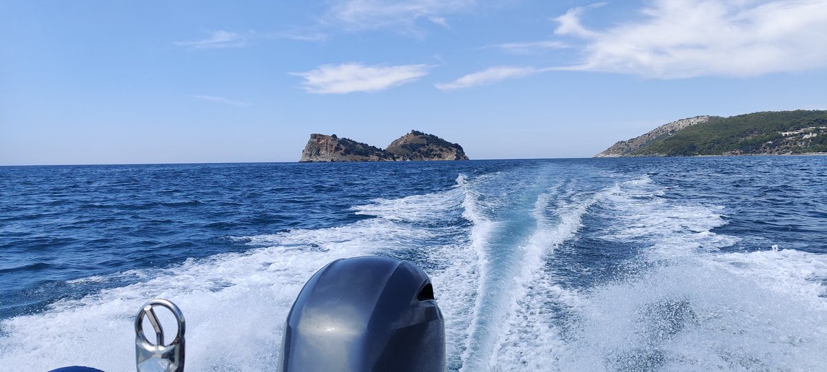 A break from my usual content. I am currently in Turkey and went for the first dive in almost two years. It has been fantastic to disconnect and be underwater. #Diving