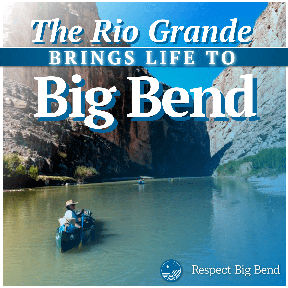 RespectBigBend's tweet photo. Water is the most valuable natural resource in the desert. The Rio Grande sustains thousands of species of plants and animals in Big Bend! #RespectBigBend https://t.co/R7Gm4beipp