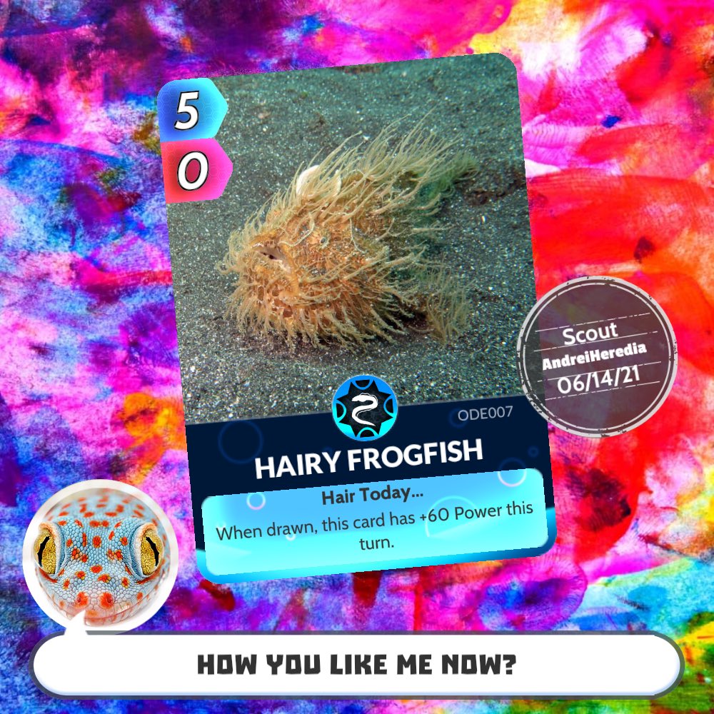 andreihm tweet media