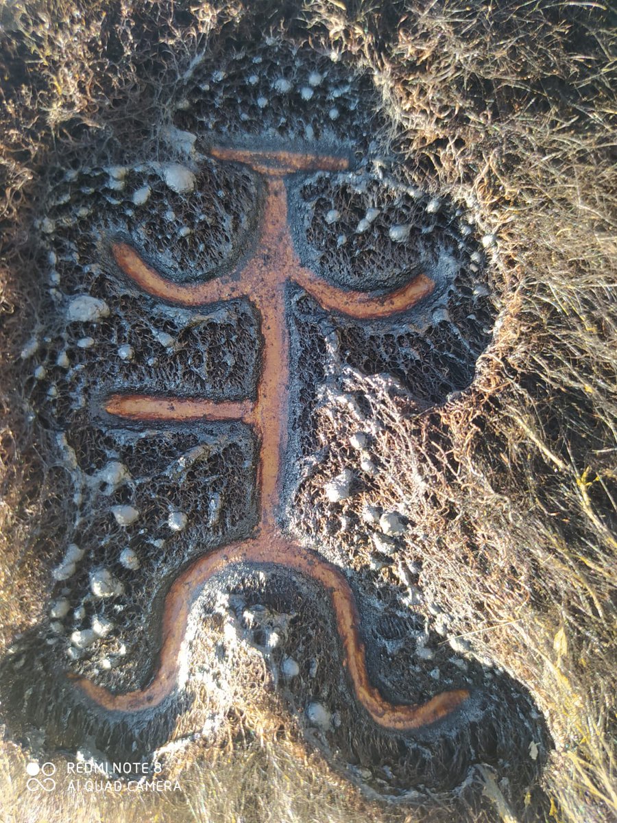 14/6/2021 volvimos a los origenes. Marca que utilizó nuestro tatarabuelo hace mas de 130 años, hoy la 5ta generacion confiando en la ganadería