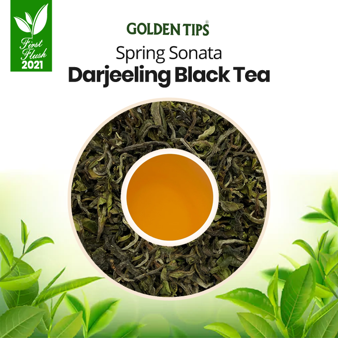 GoldenTipsTea's tweet photo. Spring Teas Arrival 👉https://t.co/FKvA9sG4j0
Fresh Darjeeling First Flush tea from the Goomtee estate. A fine tea with a fruity and mildly grassy flavour which is also mildly floral and having a complex character.
#FirstFlush2021 #SpringTeas #GoldenTipsTea #DarjeelingTea https://t.co/yaXJb3LNhz