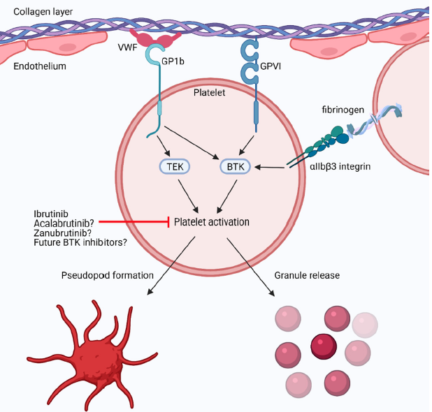 A+ job by Vanderbilt #CardioOnc fellow Matt Fleming &amp; <a href="/LingXiao_PhD/">Ling Xiao</a> on this <a href="/CircRes/">Circulation Research</a> review. Yes! Vascular disease is a bit part of #CardioOnc! Thanks to <a href="/NaomiHamburg/">Naomi Hamburg</a> 2 include vascular #CardioOnc as part of the recent compendium! @AaronAdayMD <a href="/AHA_Research/">AHA Research</a> <a href="/u_campia/">Umberto Campia</a> <a href="/VUMChealth/">Vanderbilt Health</a>