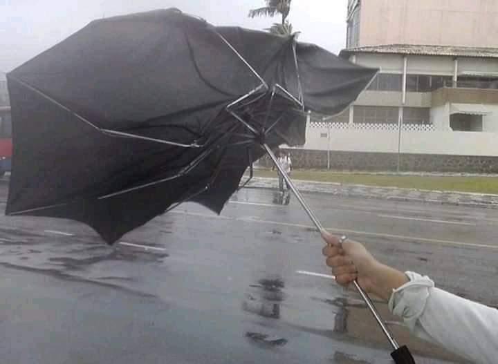 librapagee's tweet image. Tutorial de cómo perder la dignidad en público: