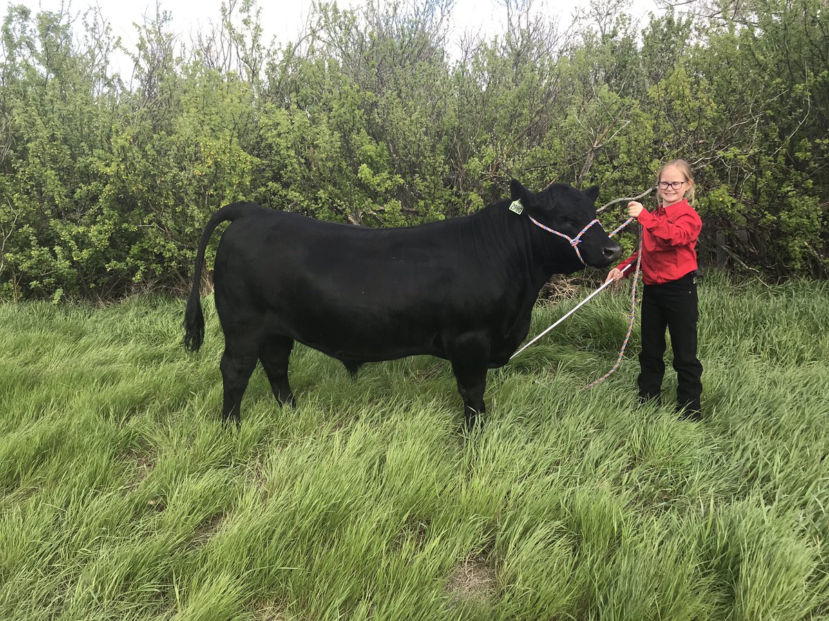 Ashleigh tweet media