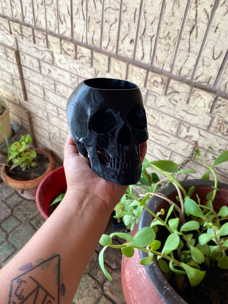 Have you gotten your 3D printed skull pots yet?

Lots of colors available and the plant possibilities to put in these guys are endless! 😍

etsy.me/3cIhiOq