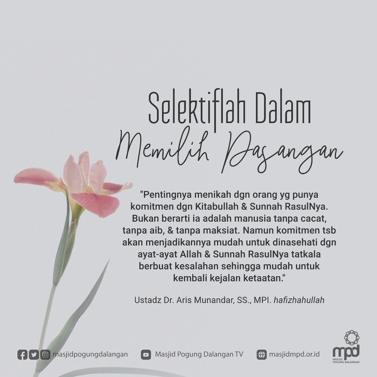 Febb Febbymv Twitter