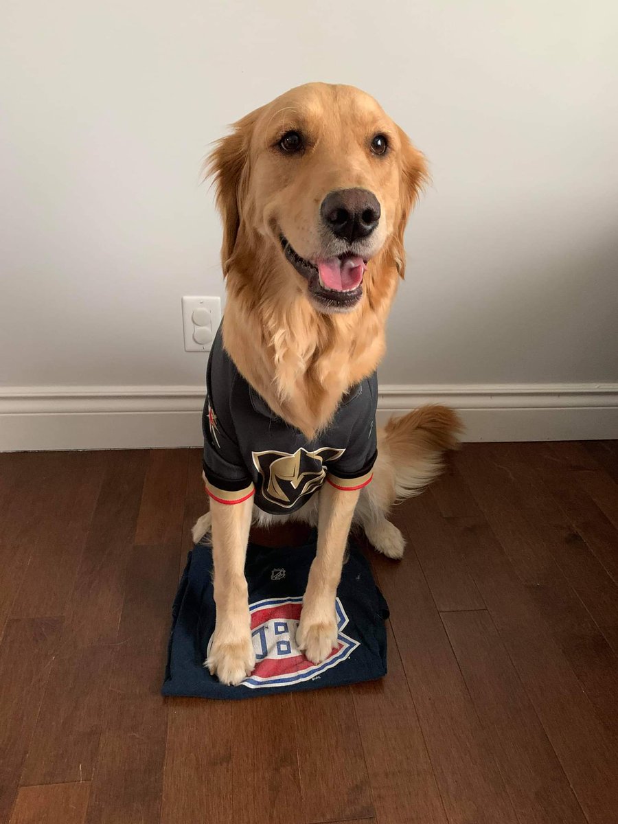 max_boilard's tweet photo. A golden always cheers for the @GoldenKnights
#StanleyCupPlayoffs https://t.co/kUbY1FTg6x