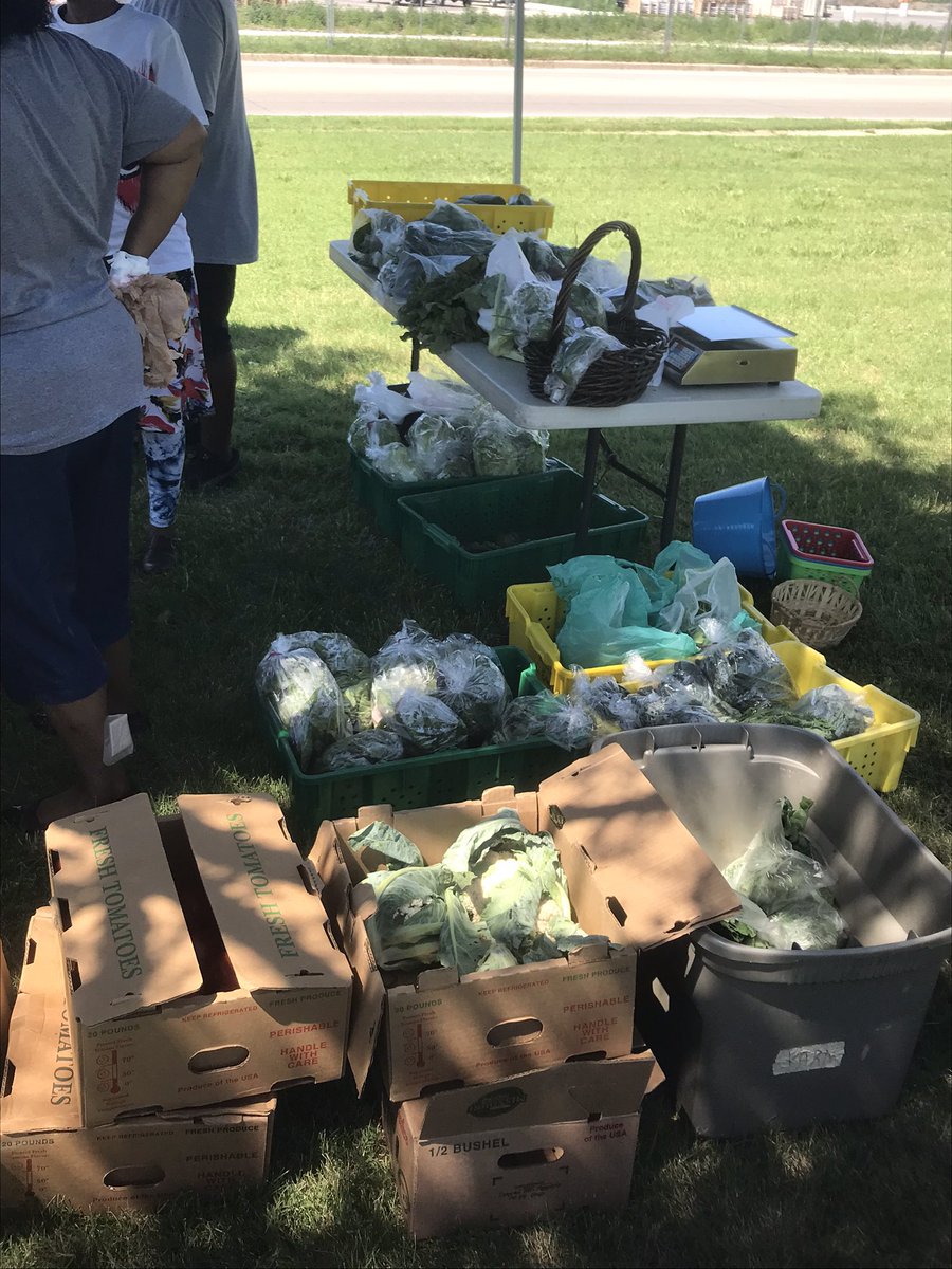 Shocker Neighborhood Coalition tweet media