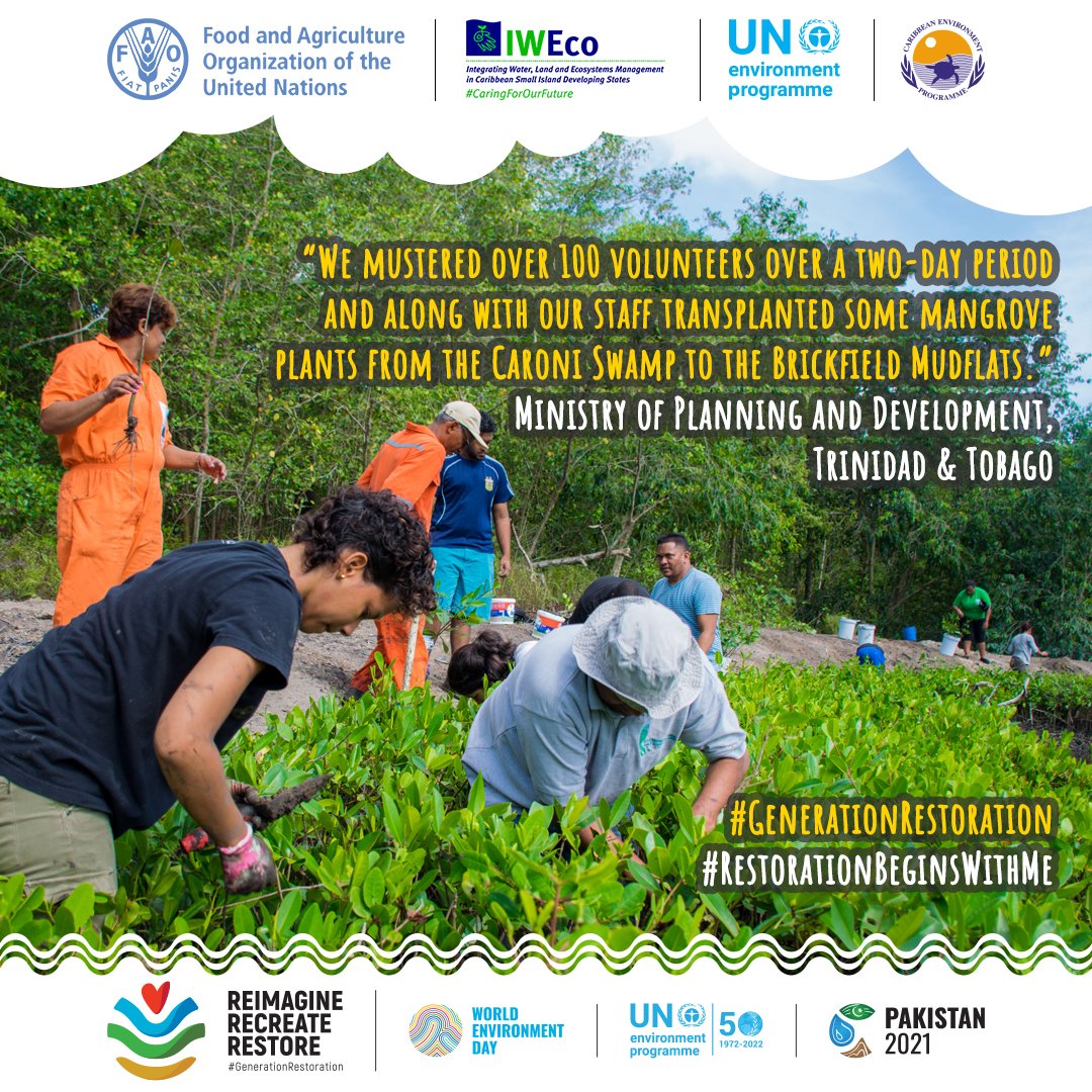 UNEP Cartagena Convention & Caribbean Enviro Prog. tweet media