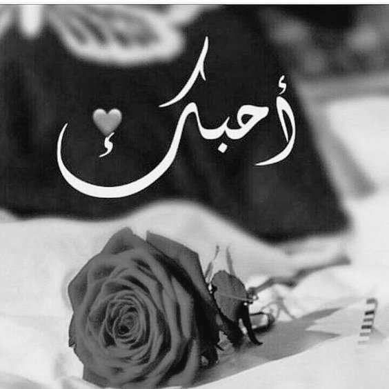 fatmaheadeer2's tweet photo. @Mu_AlSadr https://t.co/jxFweD8Yzf