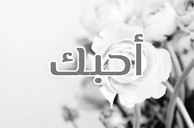 fatmaheadeer2's tweet photo. @Mu_AlSadr https://t.co/nx16To2Gxr