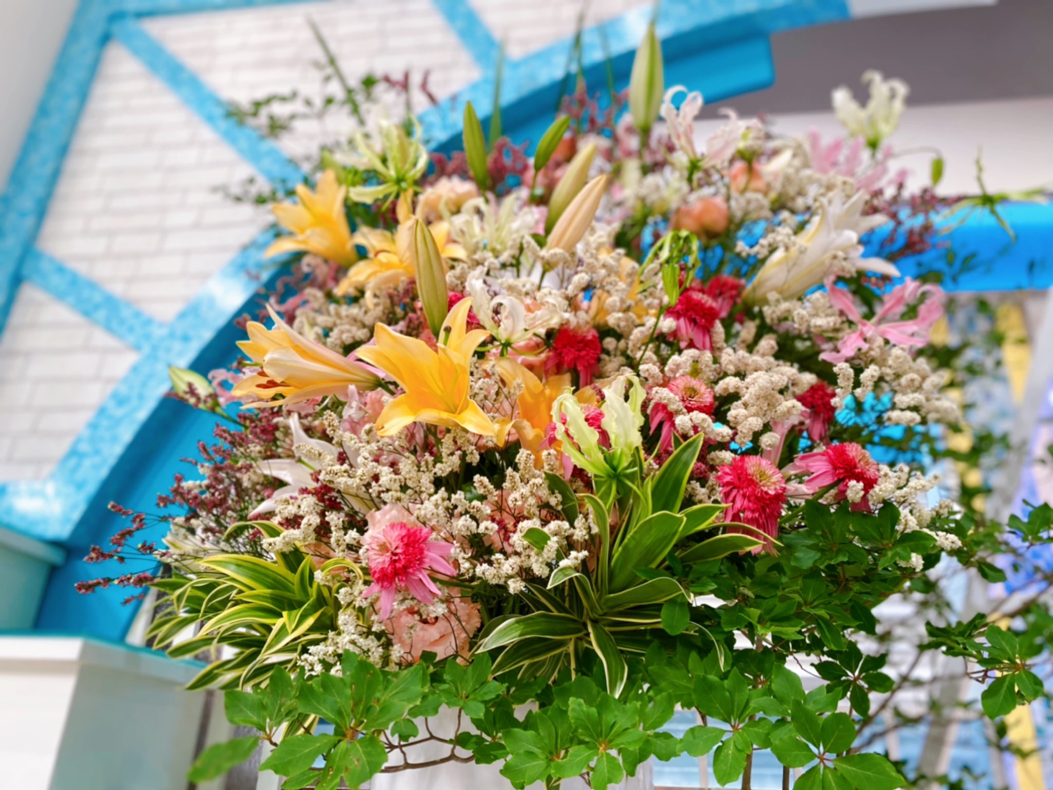 福岡花屋 Twitter Search Twitter