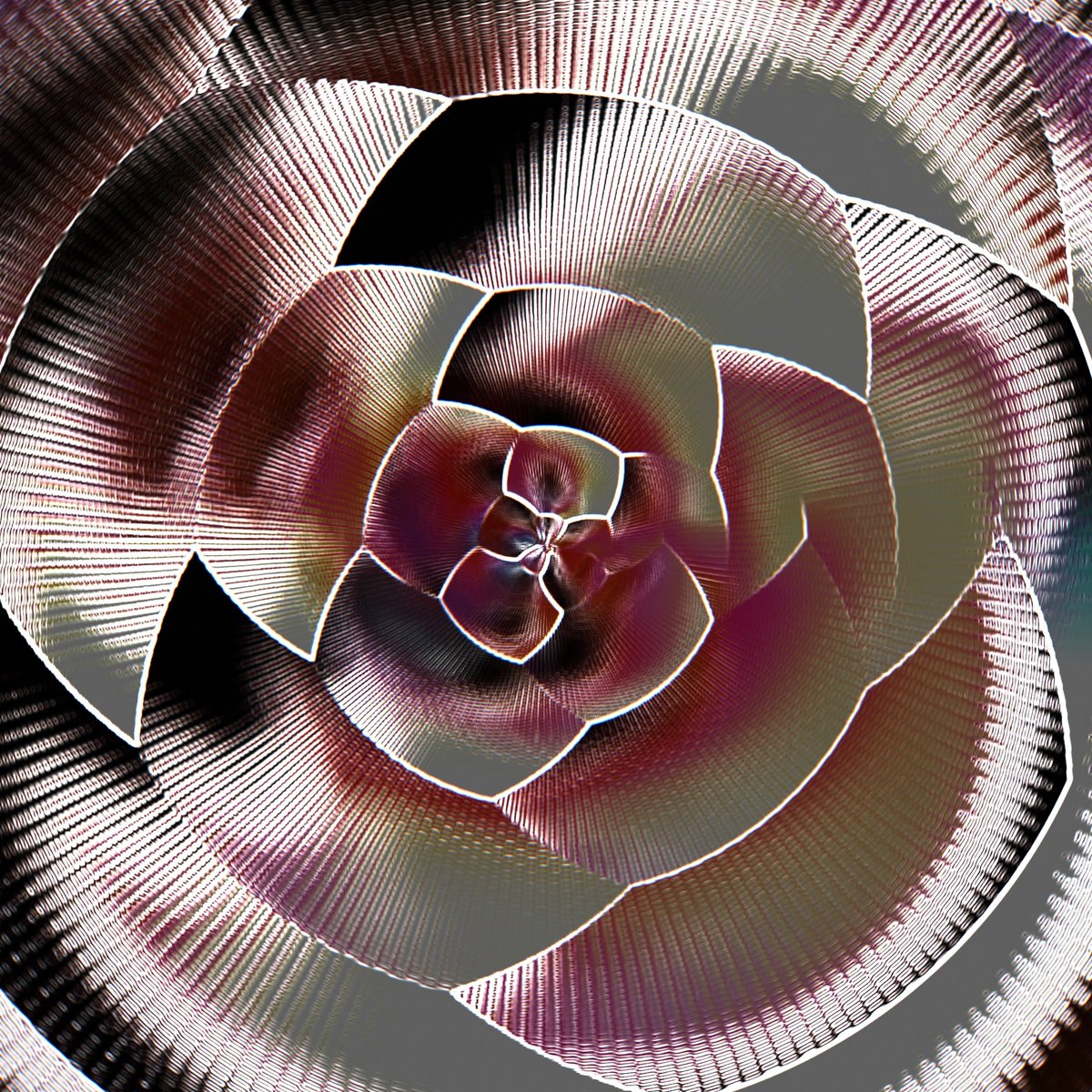 coldwarning's tweet photo. Digital Rose #datamoshed #databentphotography #glitchart #datamoshing #impossibleobjects https://t.co/20L4fXSnDz