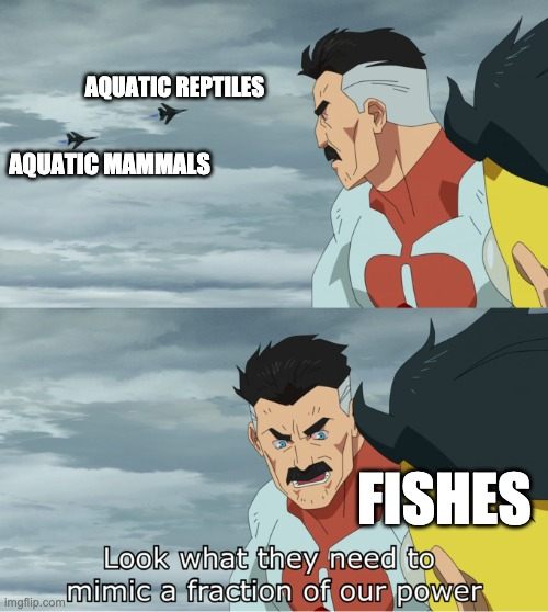 friel's tweet photo. Invincible Fishes. #NatHistMemes https://t.co/Z3iQfrxITA