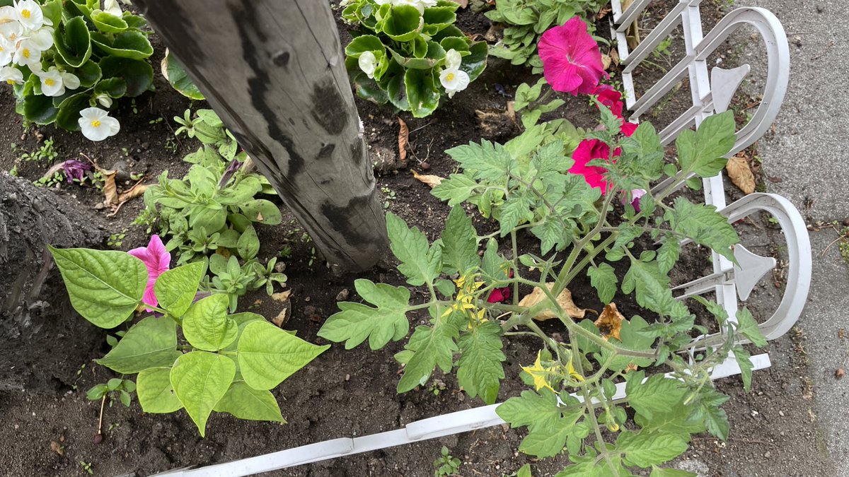 笑顔で過ごせたらいいな