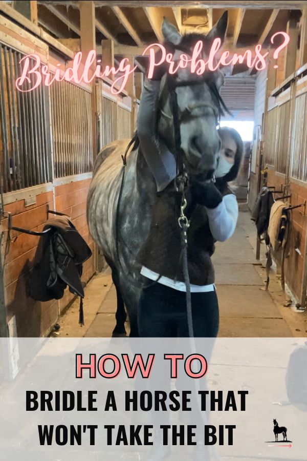 equestrianbandb's tweet photo. Horse Care | How to Bridle A Horse That Throws Their Head? Horse Tips!
See more: https://t.co/L9XDvgJ2C3 https://t.co/Snt9kACrGC