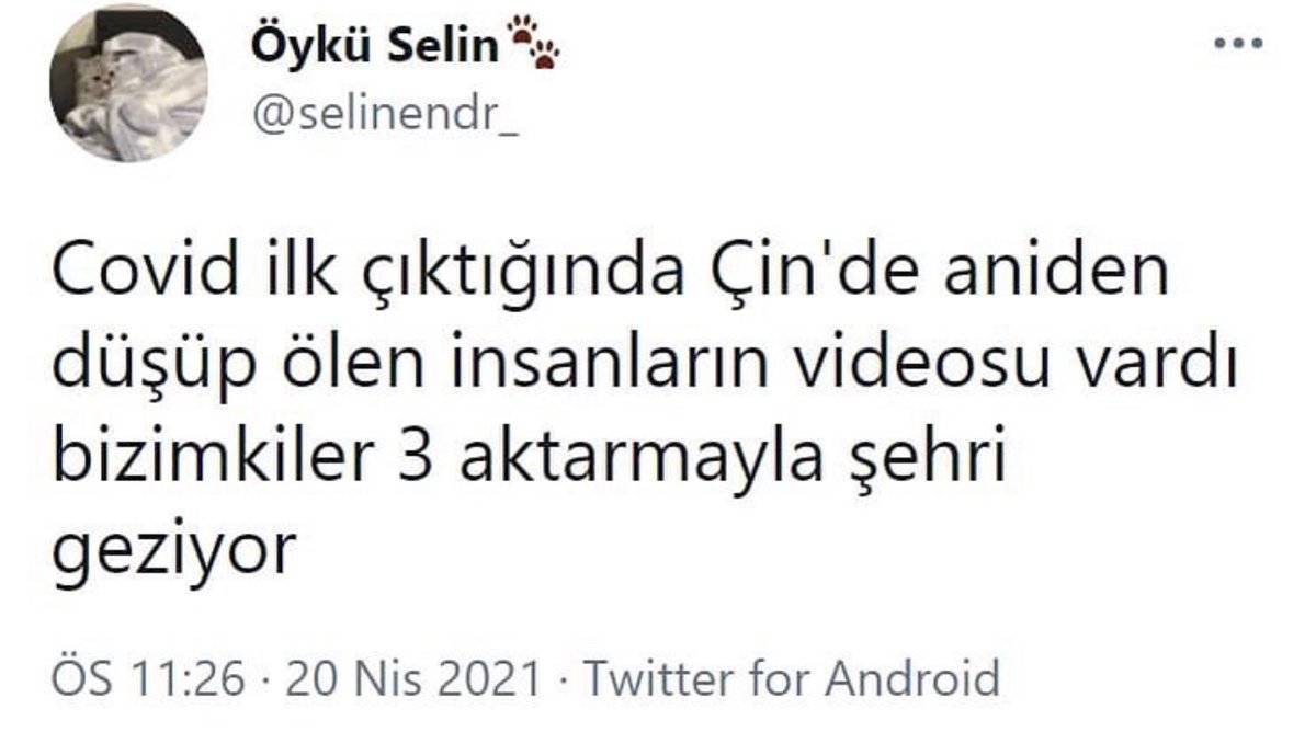 Alnı Öpülesi Tivitler (@alniopulesitivt) on Twitter photo 