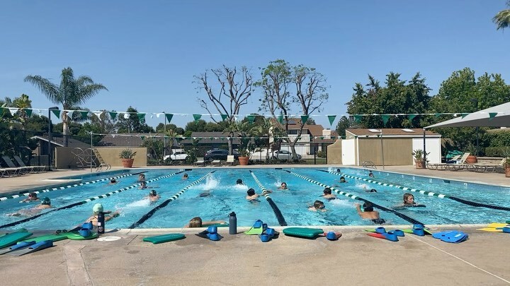 adam_thedad's tweet image. Swimming is back! #gogators instagr.am/p/CQHiACjFlrj/