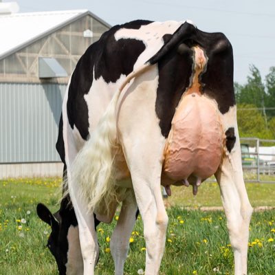 Ladyrose Caught Your Eye #NewProfilePic