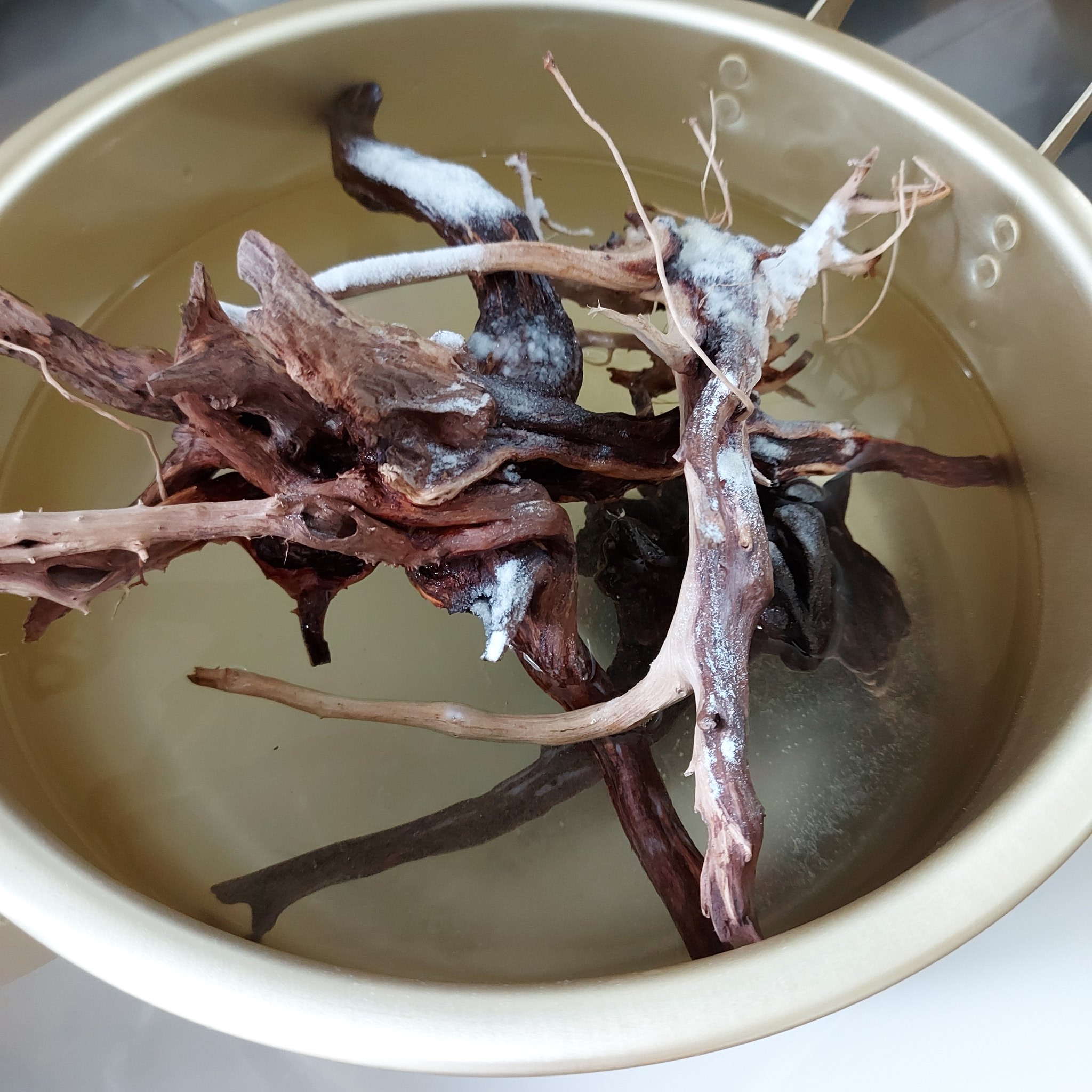 かぶとハウス ミニマル アクアリウムとミニマリスト 水槽で生き物を飼う行為は ノンミニマルかもしれません 暮らす上で必要最小限のモノ ではないですからね 一方で そこに生命活動が集約されている という意味では 実にミニマル的な